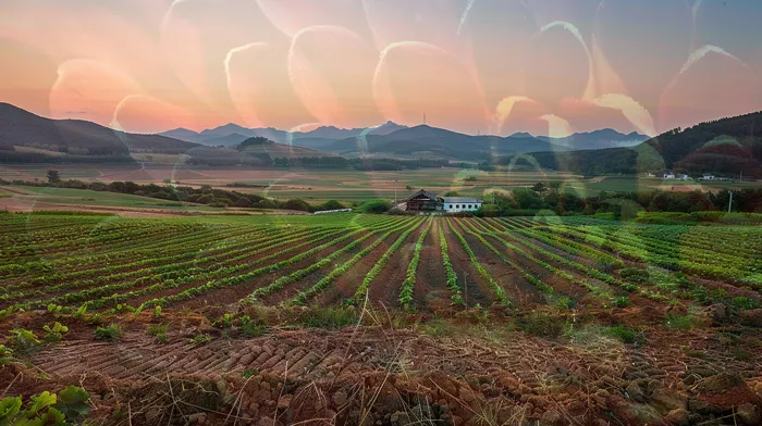 부산회생변호사