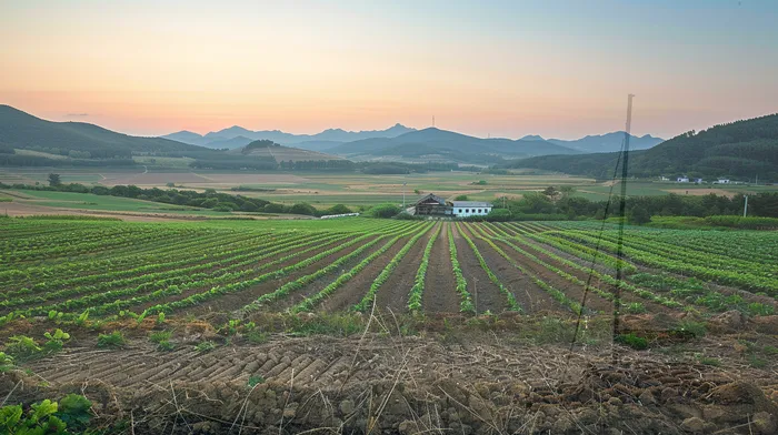저금리대출 연체 시