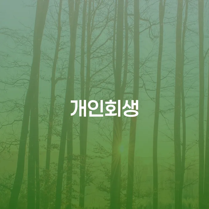 파산신청변호사 개인회생,개인파산으로 신청조차