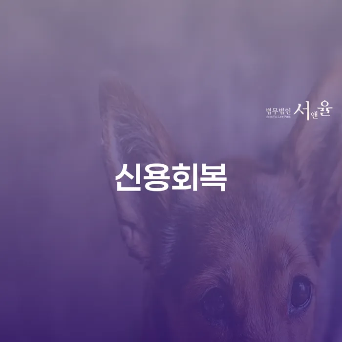 개인신용회복지원제도 빚 해결할 가장 먼저 확인할 점