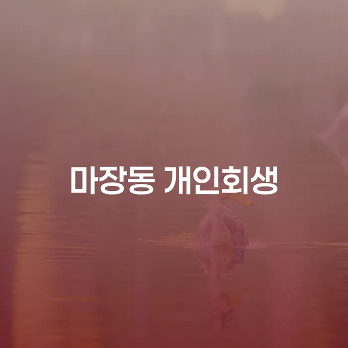 마장동 개인회생, 어떻게 신청하고 성공할 수 있을까요?