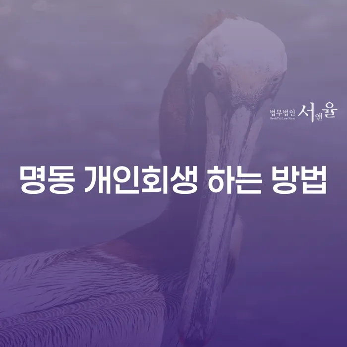 명동 개인회생 하는 방법: 어떻게 시작할 수 있을까요?