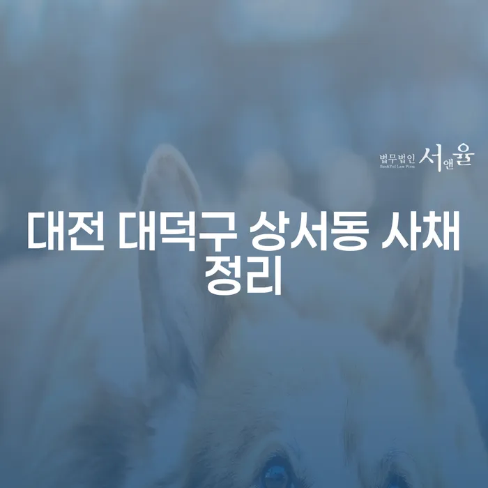 대전 대덕구 상서동 사채정리와 개인회생직장을 통한 채무 해결 방법