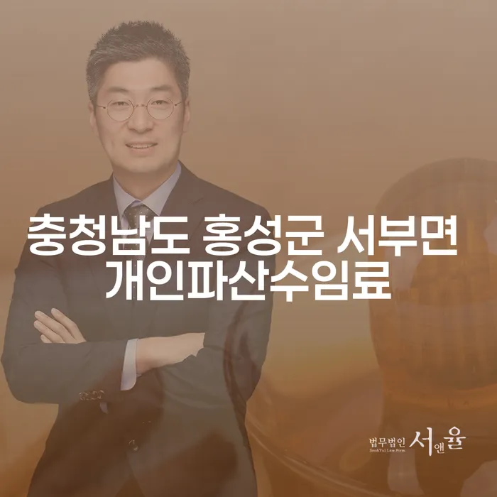 충청남도 홍성군 서부면에서 개인파산과 대출 6억원 이상 개인회생, 어떻게 준비해야 할까요?