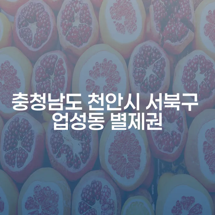 충청남도 천안시 서북구 업성동 별제권, 대구개인파산을 고려해야 할 이유는 무엇일까요?