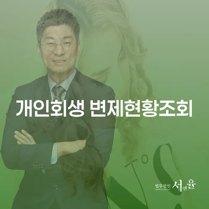 개인회생 변제현황조회와 부동산 가압류 개인회생 해제, 어떻게 해야 할까요?